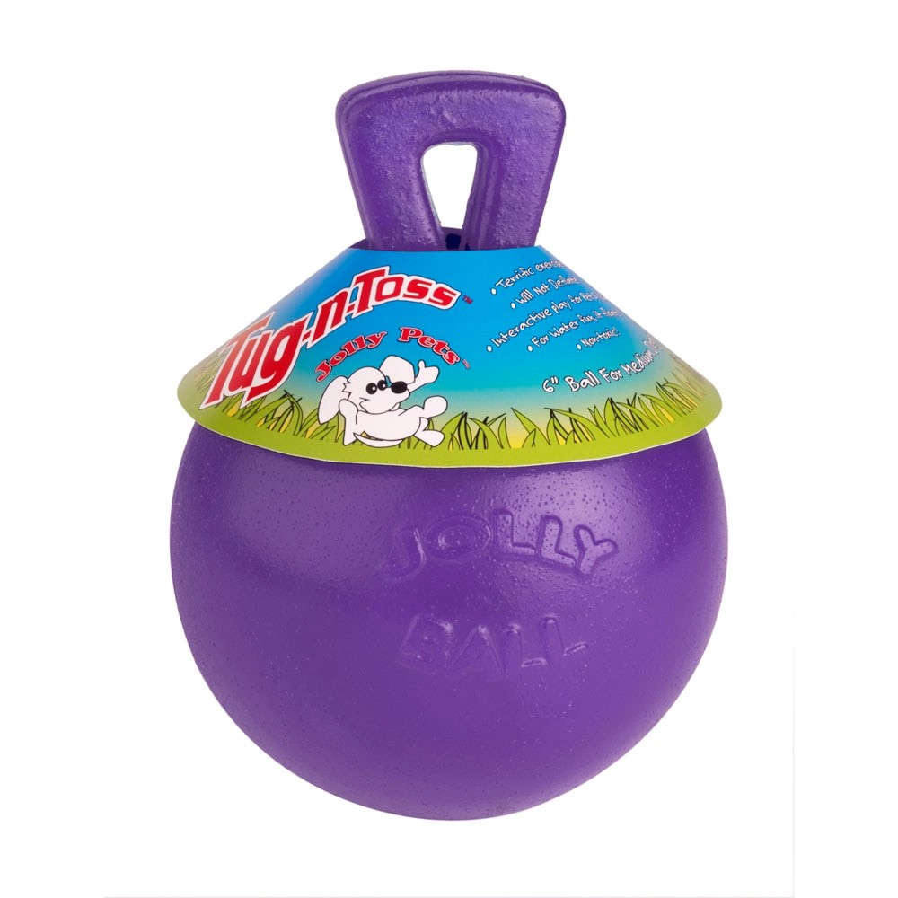 Jolly Pets Tug-n-Toss Heavy Duty Ball with Handle 8 Inches Purple Large Dog Toy