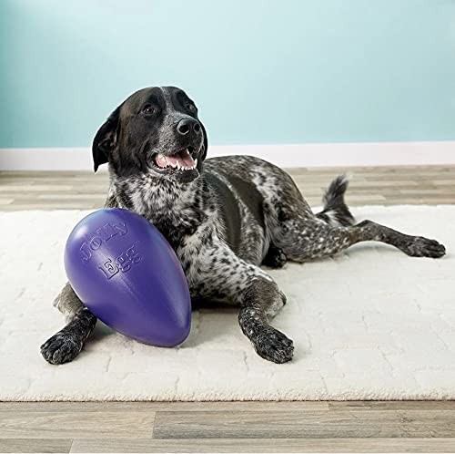 Jolly Pets Large 12 Inch Jolly Egg Dog Toy Purple For Water Fun And Play