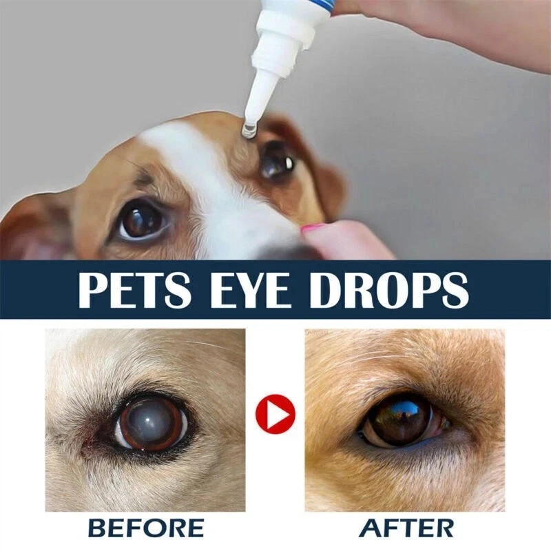 Eye Drops for Pets Bacterial,Viral and Fungal & Infections Dog Cat Treatment