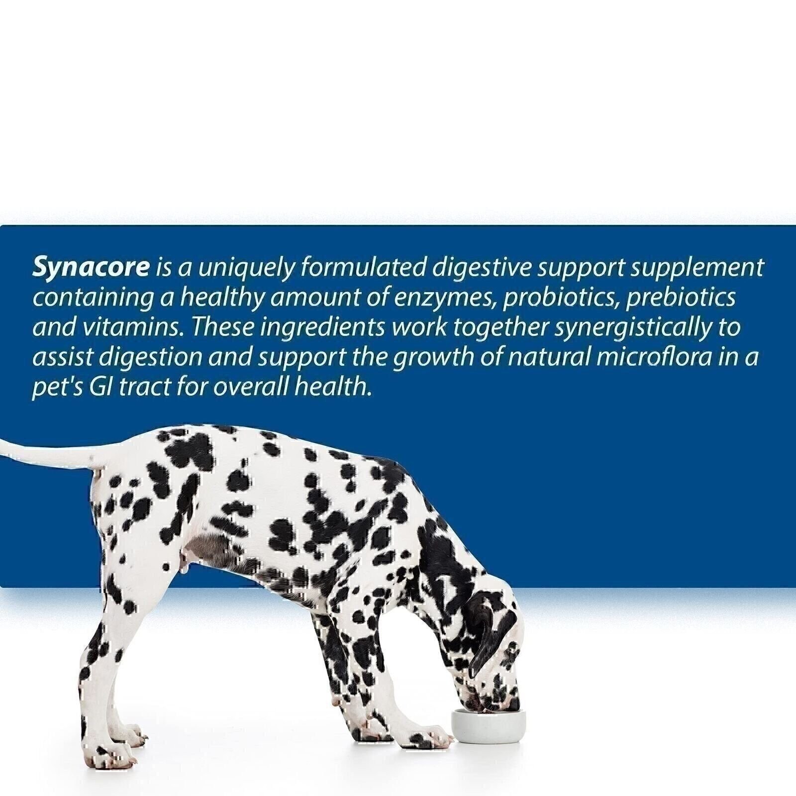 Van Beek-Natural Science Synacore Canine – All Natural Formula to Provide Imm…