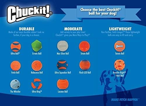 ChuckIt High Bounce Rubber Fetch Ball For Medium Dogs Assorted Colors 2.5-Inch