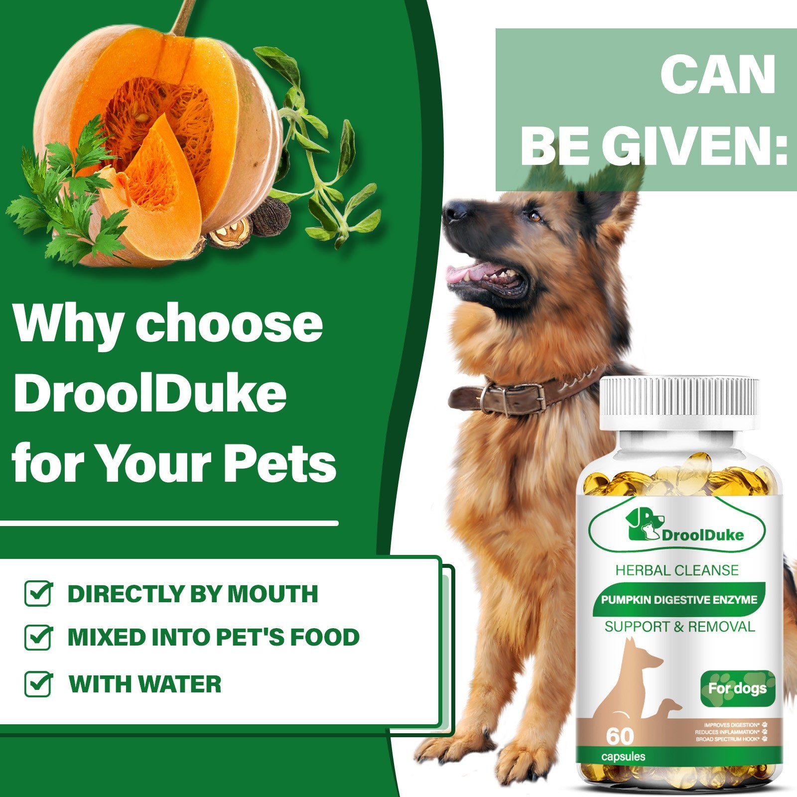 Probiotic Chews for Dogs – Supports Gut Health, Digestion, Gas, Constipation
