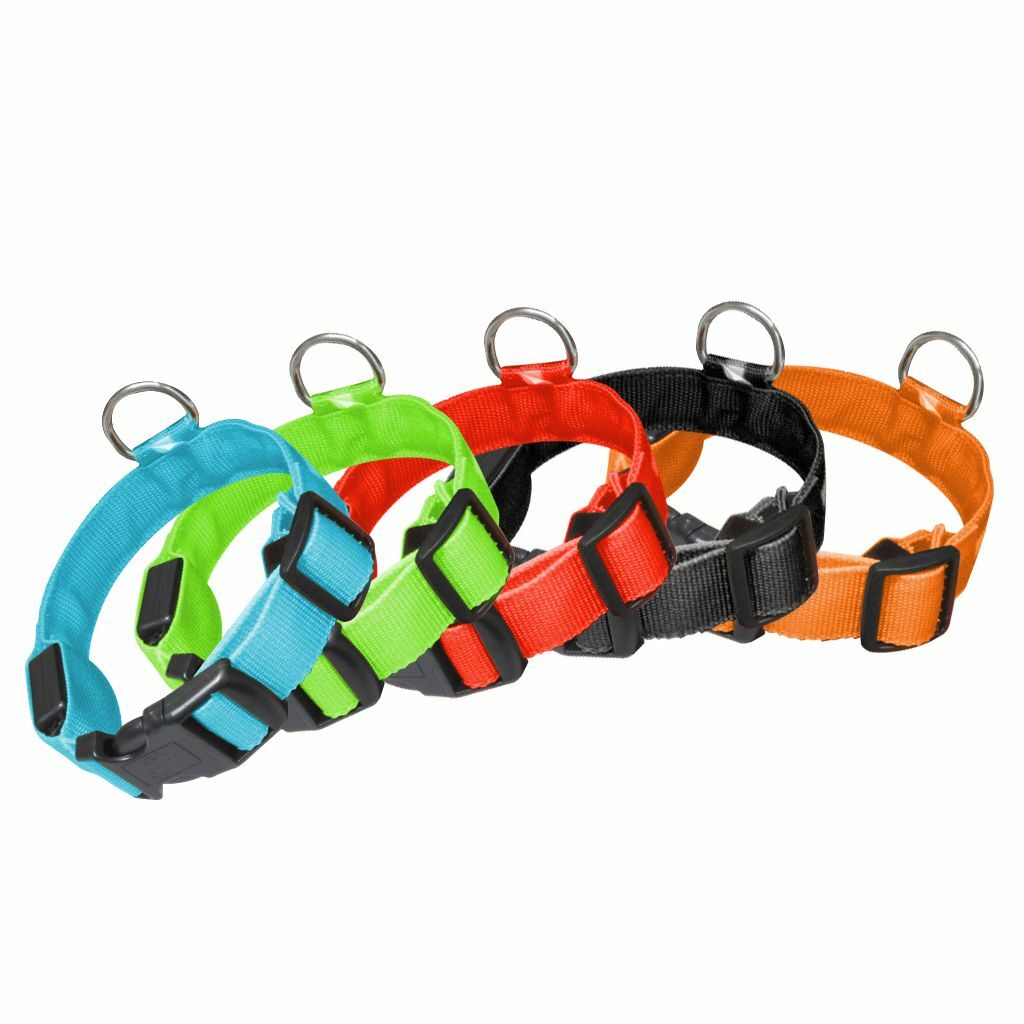USB Rechargeable LED Dog Light Up Safety Collar Night Glow Adjustable Bright USA