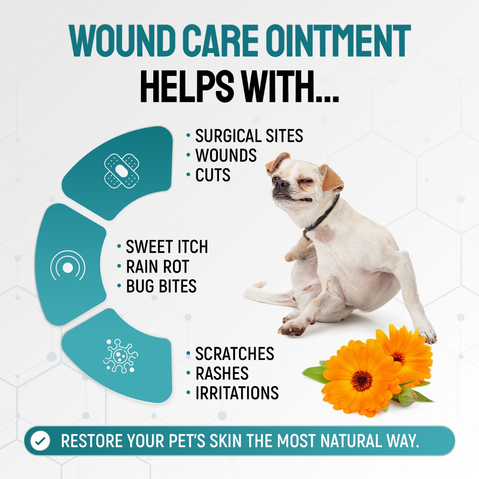 Silver Wound Care Ointment for Dog & Cat Skin Relief Hot Spot, Cuts, Irritations