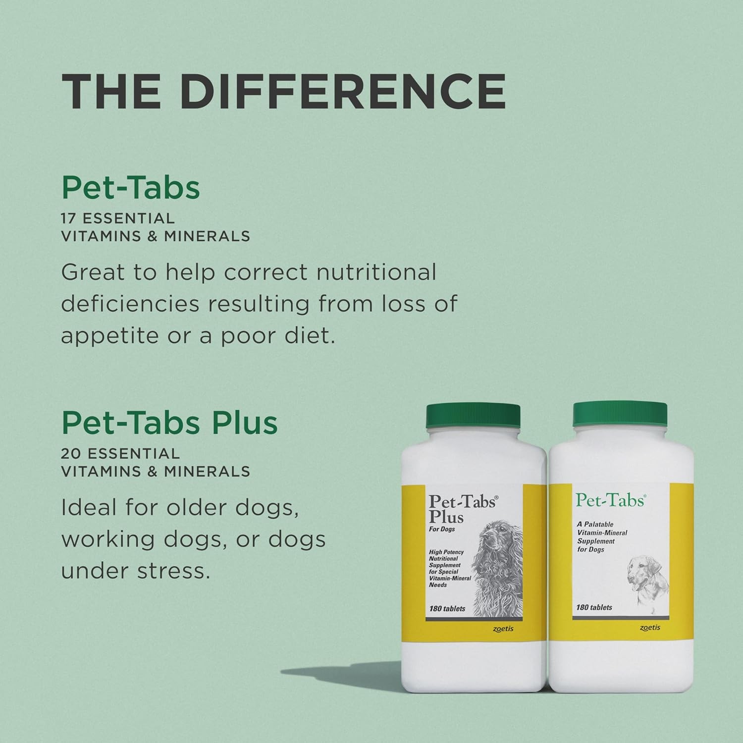 Multivitamin and Mineral Supplement for Dogs, Chewable Tablet, 60 Count Bottle
