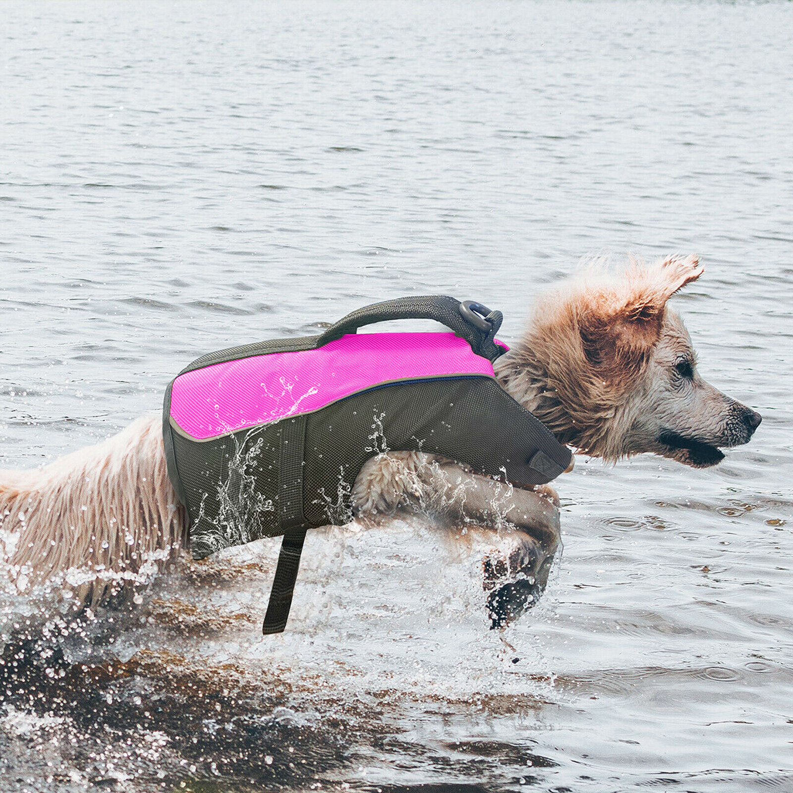 Kong Dog Life Jacket Preserver Flotation Vest Adjustable Heavy Duty Safety Float