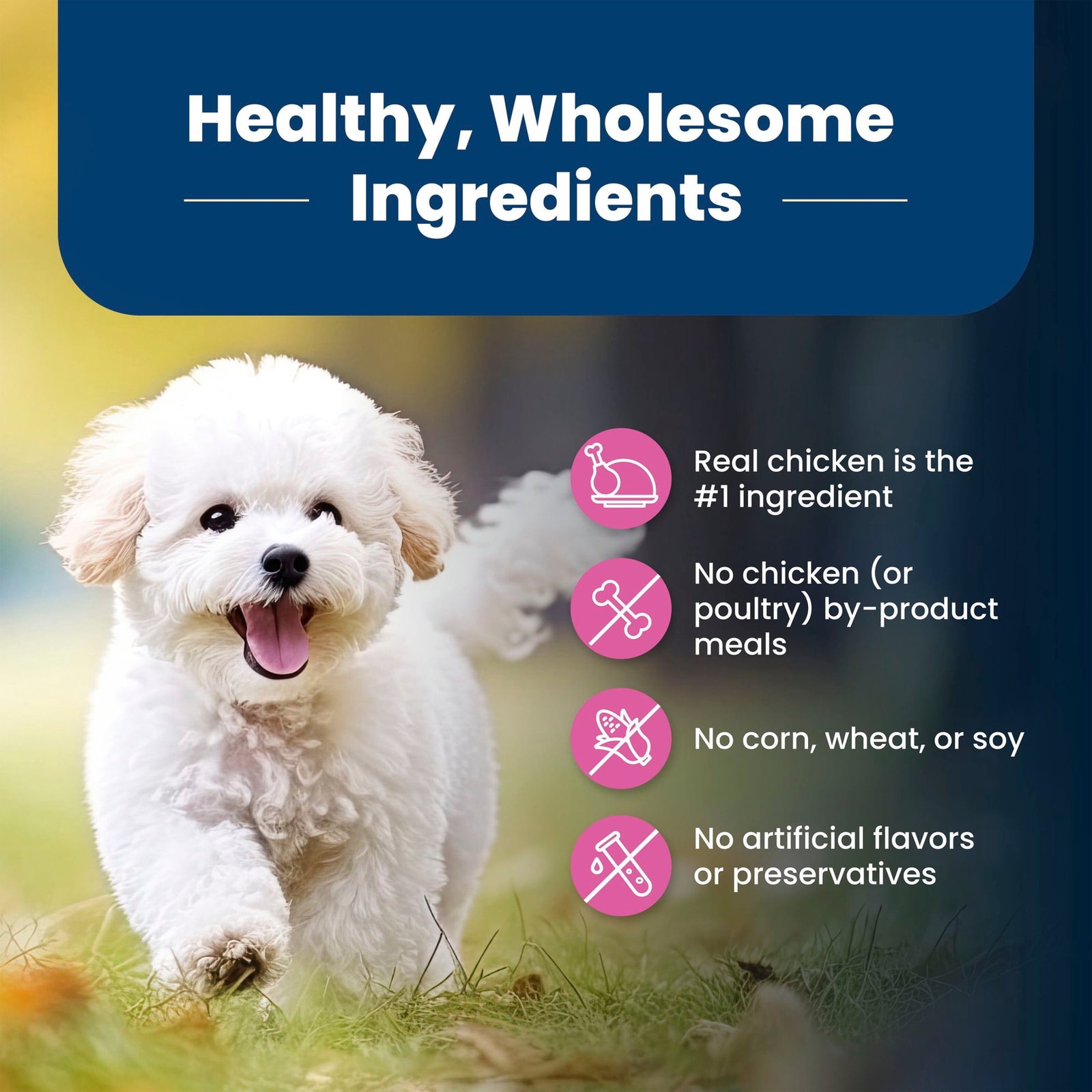 Blue Buffalo Life Protection Formula Adult Small Breed Dry Dog Food, 15-lb Bag