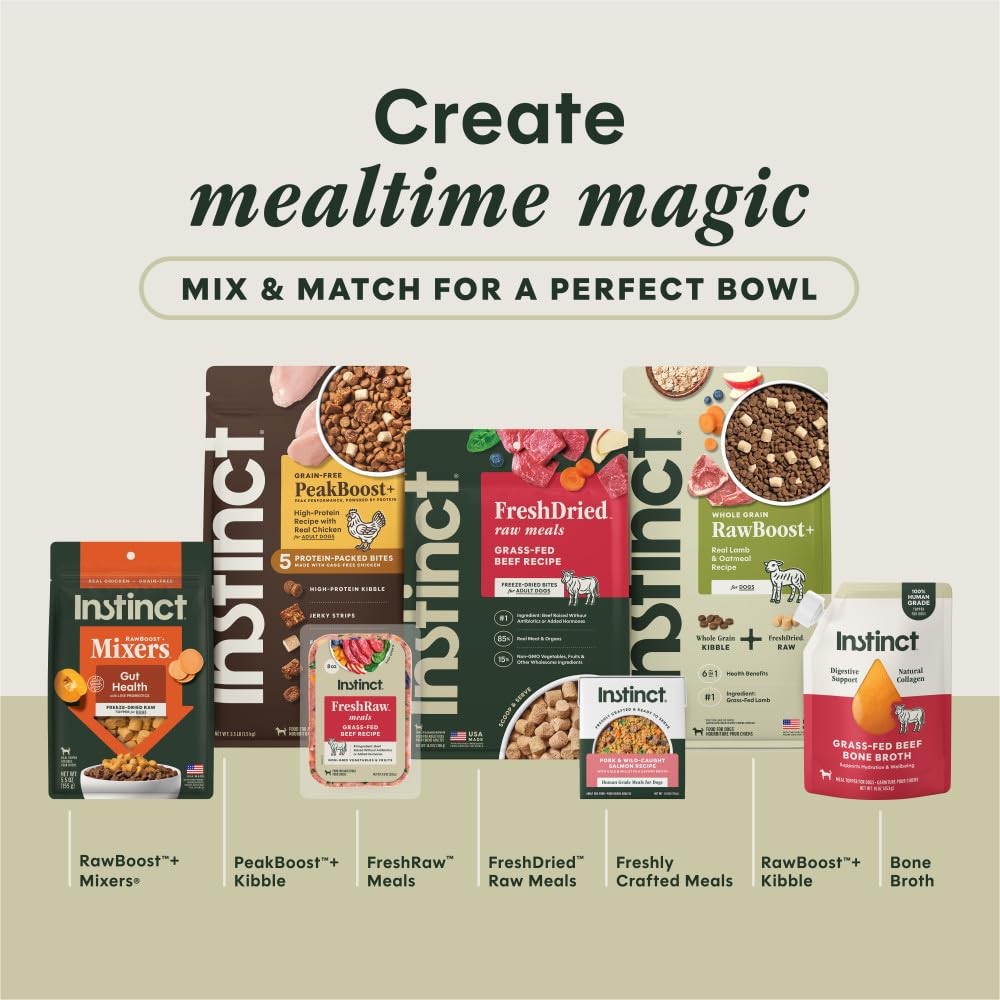 Instinct Bone Broth, Meal Topper for Dogs, Human 16 Fl Oz (Pack of 1), Silver