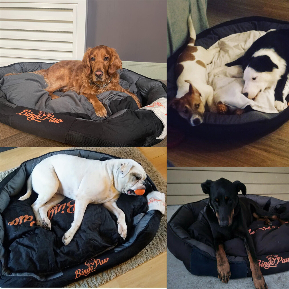 XXL Jumbo Plus Waterproof Pillow Sofa Dog Bed Large Pet Bed Cushion Mat Washable