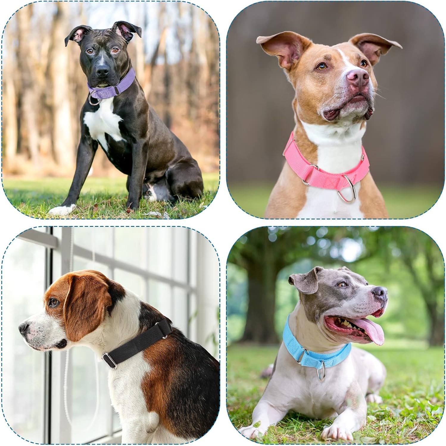 Cunno 12 Pcs Martingale Collar for Medium Dogs Small, as shown in the picture