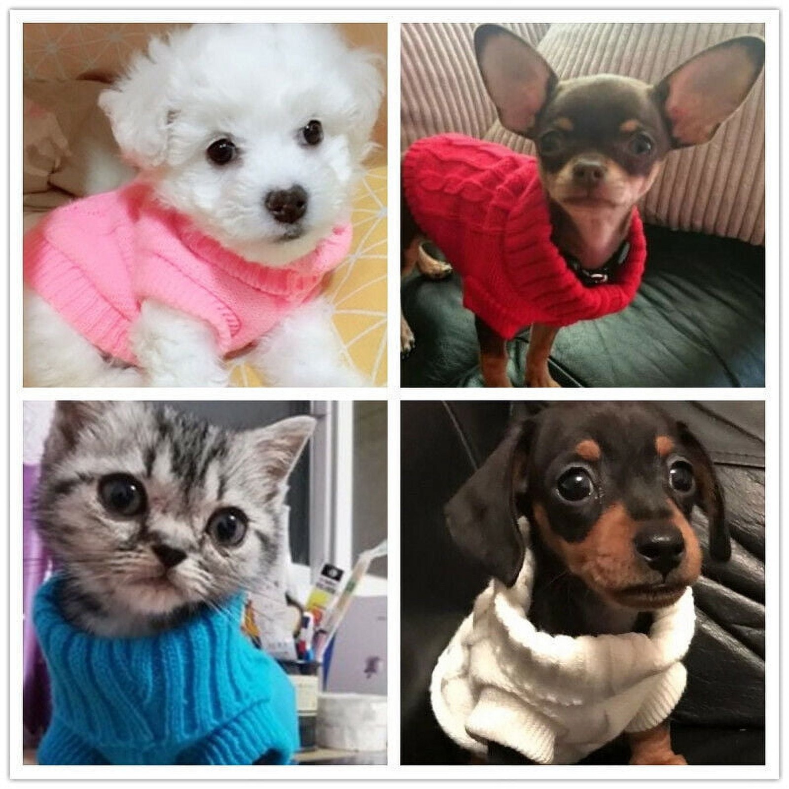 Puppy Sweater Coat Tiny XXXS XXS XS Chihuahua Knit Coat Pet Clothes Dog Teacup