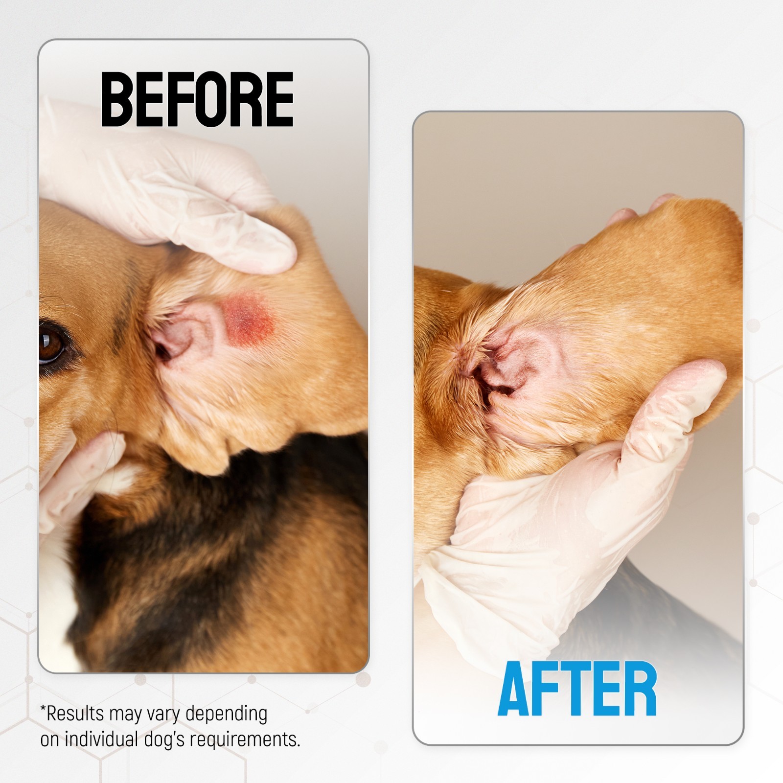 Silver Wound Spray for Dogs & Puppies – Skin Care for Hot Spots, Itch & Rashes