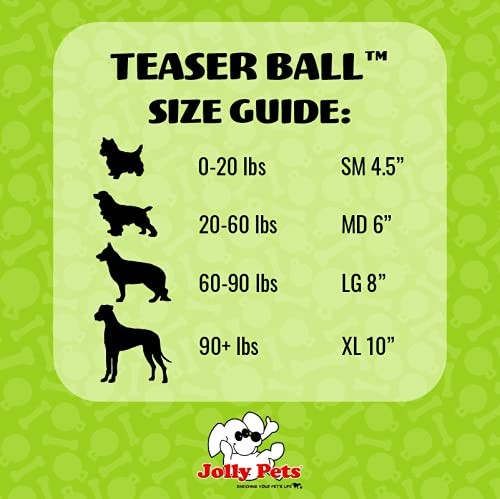 Jolly Pets 6 Inch Medium Teaser Ball Dog Toy for Fetch and Puzzle Fun