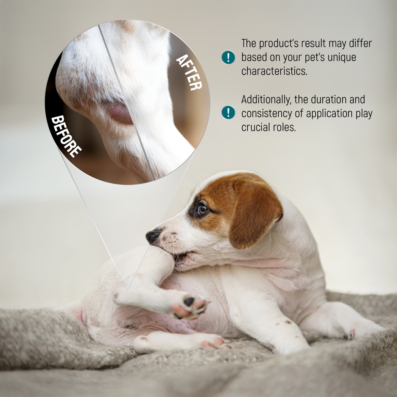 Silver Wound Care Ointment for Dog & Cat Skin Relief Hot Spot, Cuts, Irritations