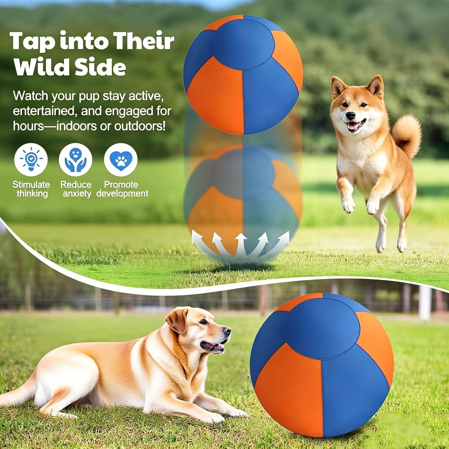 Calming Jumbo Herding Ball, Durable Inflatable Dog Toy Outdoor with Handle, Pump