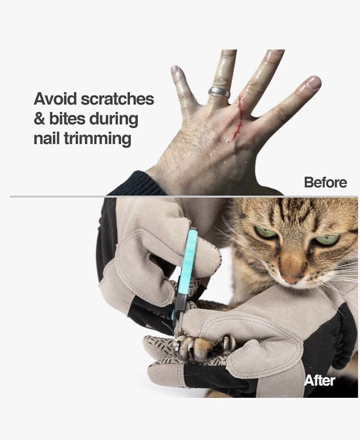 PetFusion Multipurpose Gloves for Grooming And Handling All Types Of Pets