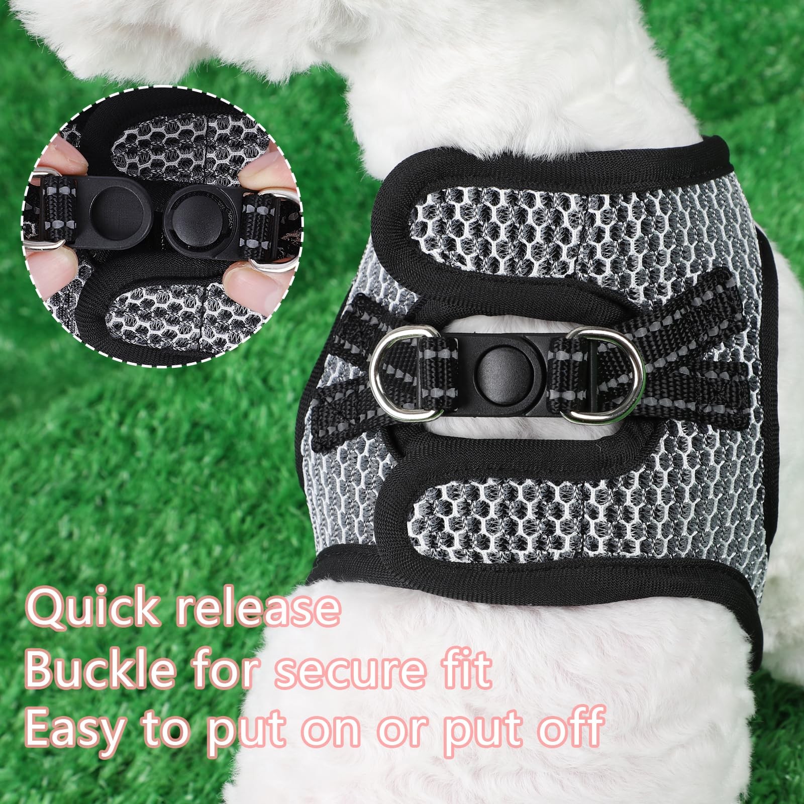 Step in Dog Harness – Chihuahua Teacup Dog Harnesses for XXS, XS Small Dogs A