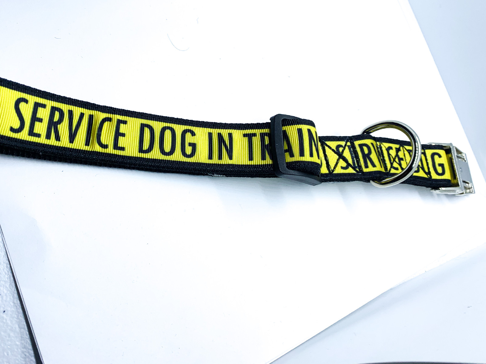 Service Dog in Training Collar 1″ Adjustable Service Dog Gear Dog Collar