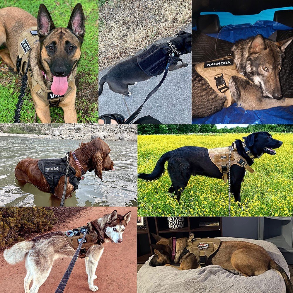 Tactical Dog Vest Kit with dog leash dog collar and Multiple Accessories