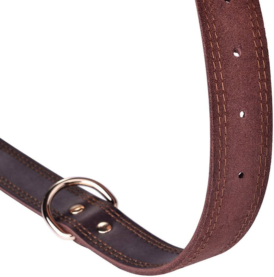 Genuine Leather Dog Collar Durable Alloy Hardware for Medium Extra Large Dogs