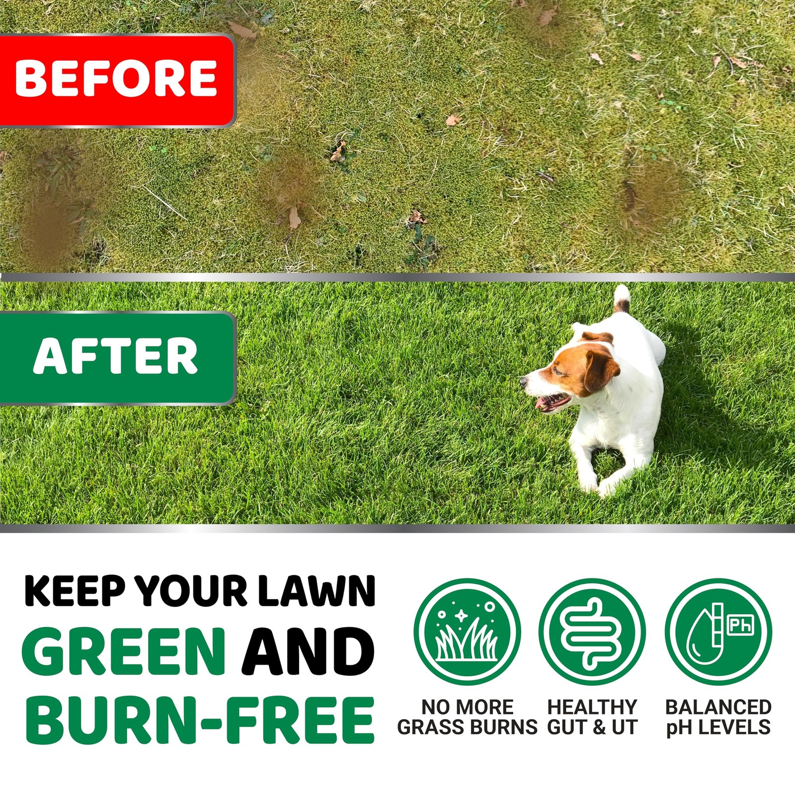 YUMA’S Dog Urine Neutralizer for Lawn – 170 Chews – Green – 170