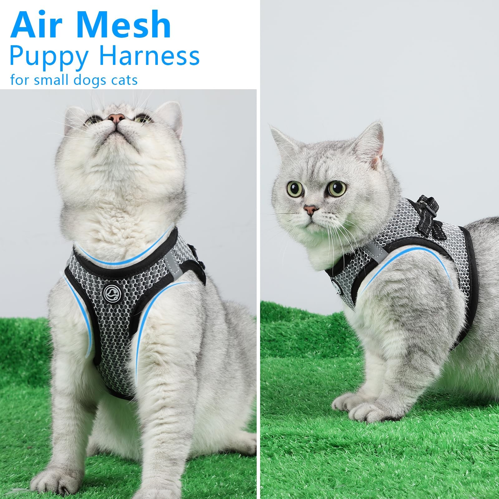 Step in Dog Harness – Chihuahua Teacup Dog Harnesses for XXS, XS Small Dogs A