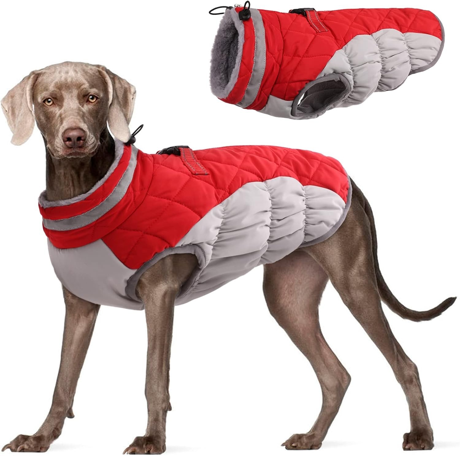 NEW XXXL 3XL Coat for Large Dogs Waterproof Dog Winter Jacket B11