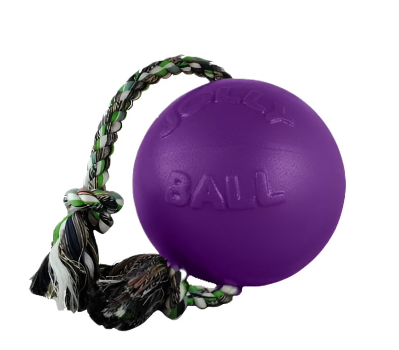 Jolly Pets Romp N Roll 8” Purple Dog Toy