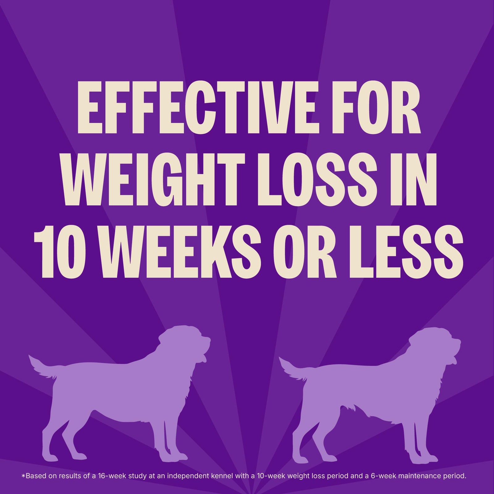 Wellness CORE Healthy Weight 4 Pound (Pack of 1), Small Breed