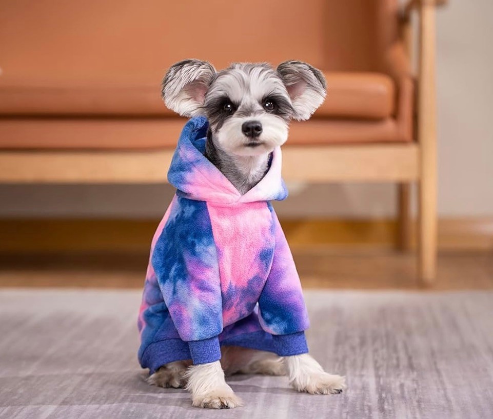BT Bear Dog Hoodie, Tie-dyed Fashions Dogs Fleece Hoodies Pet Sweatshirt