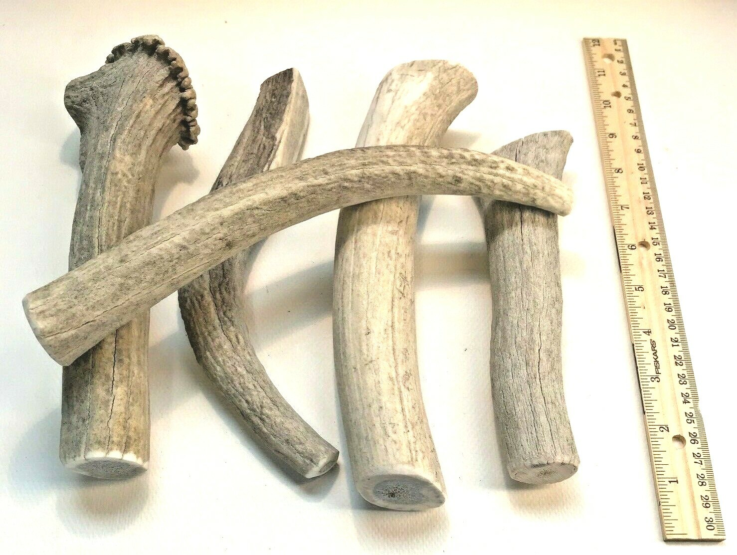 BEST VALUE! 2 POUNDS of Seasoned Deer & Elk- Whole Antler Dog Chews – Jumbo & XL