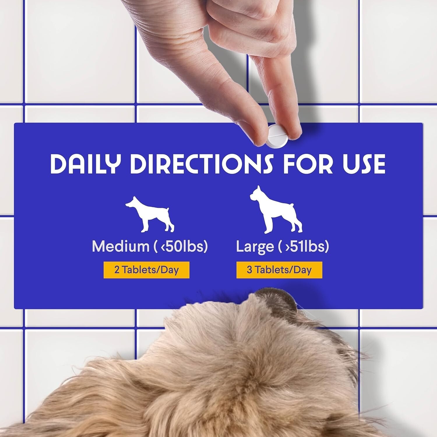 B12 Supplement for Dogs – 90 Beef Flavored Chewables