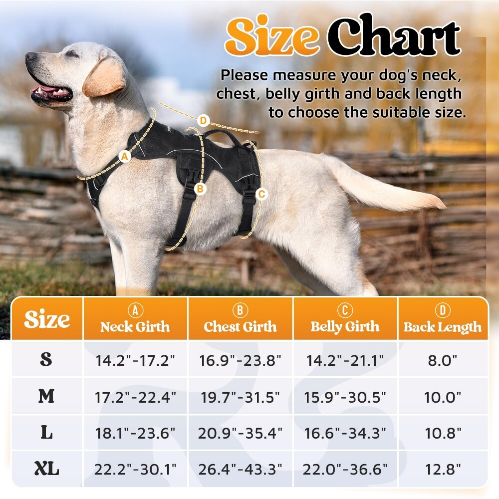 rabbitgoo Escape Proof Dog Harness with Lift Handle Reflective Adjustable Vest