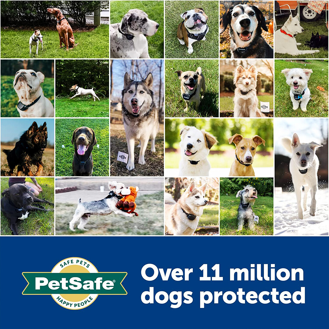 PetSafe REPLACEMENT FLAP for Freedom or Extreme Weather Dog Door “S, M, L, XL”