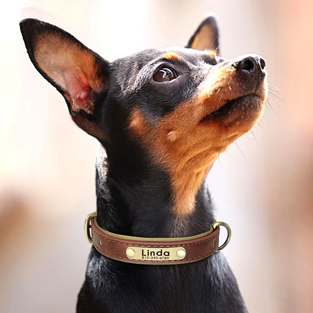 PERSONALIZED Soft Leather Dog Collar Custom Puppy Cat Name Free Engraved XS-XL