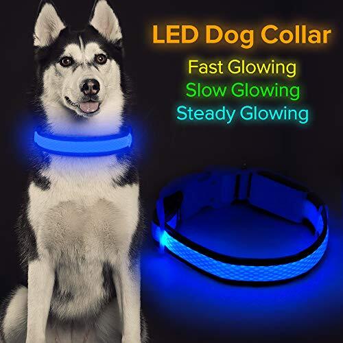 LED Dog Collar, Light Up Dog Collar USB Rechargeable, Assorted Colors , Sizes