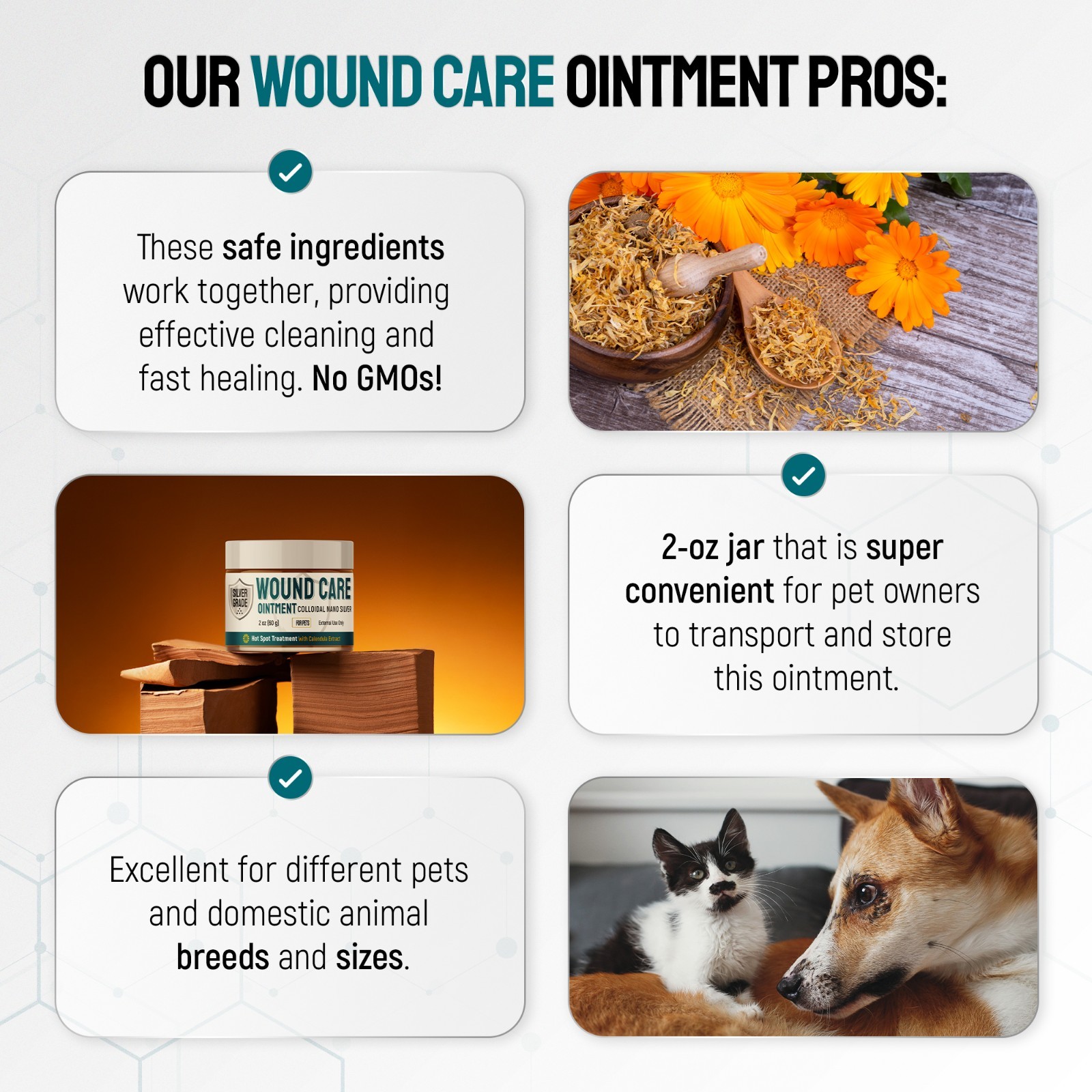 Silver Wound Care Ointment for Dog & Cat Skin Relief Hot Spot, Cuts, Irritations