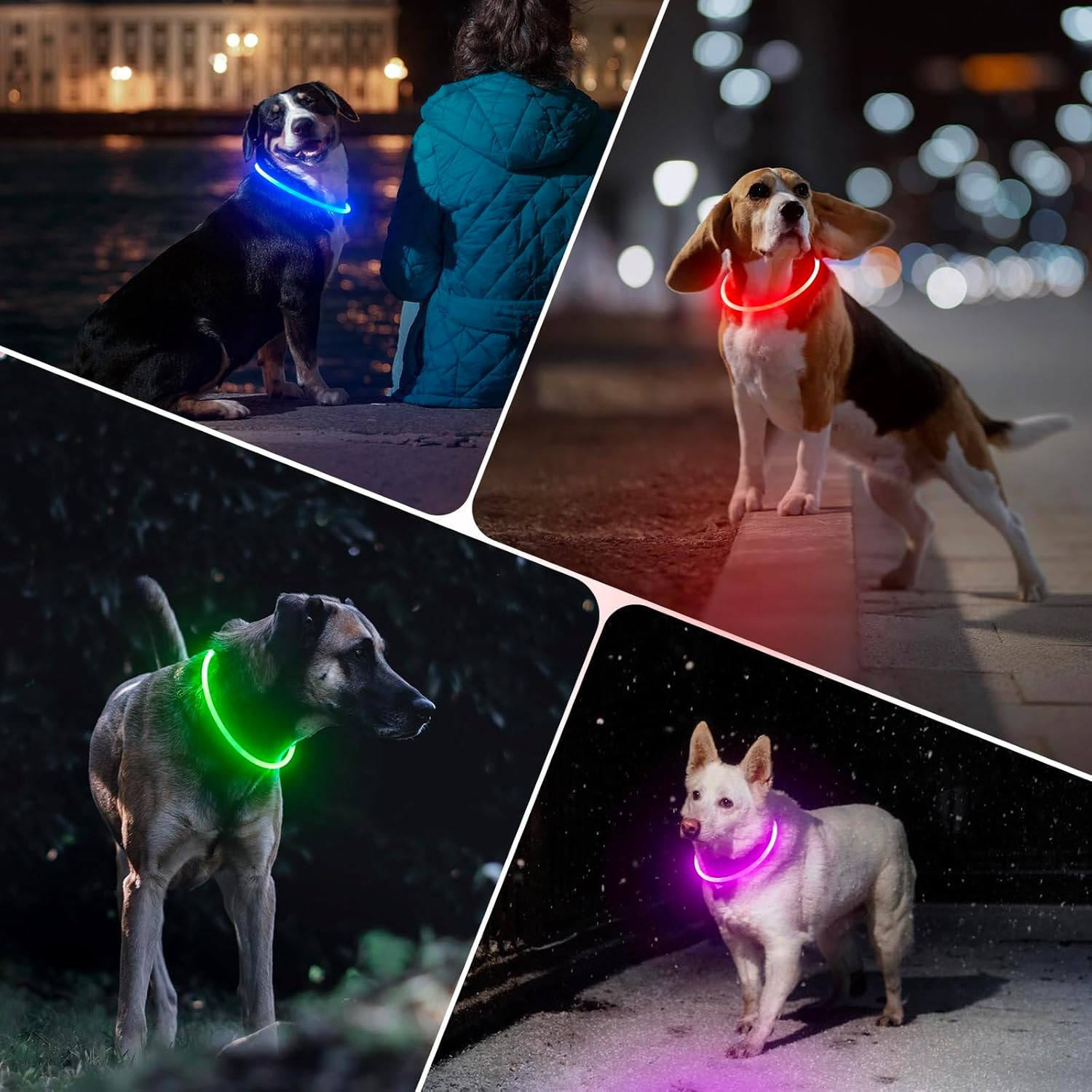 Rechargeable LED Dog Collar – Waterproof Lighted Safety Collar for Night Walks