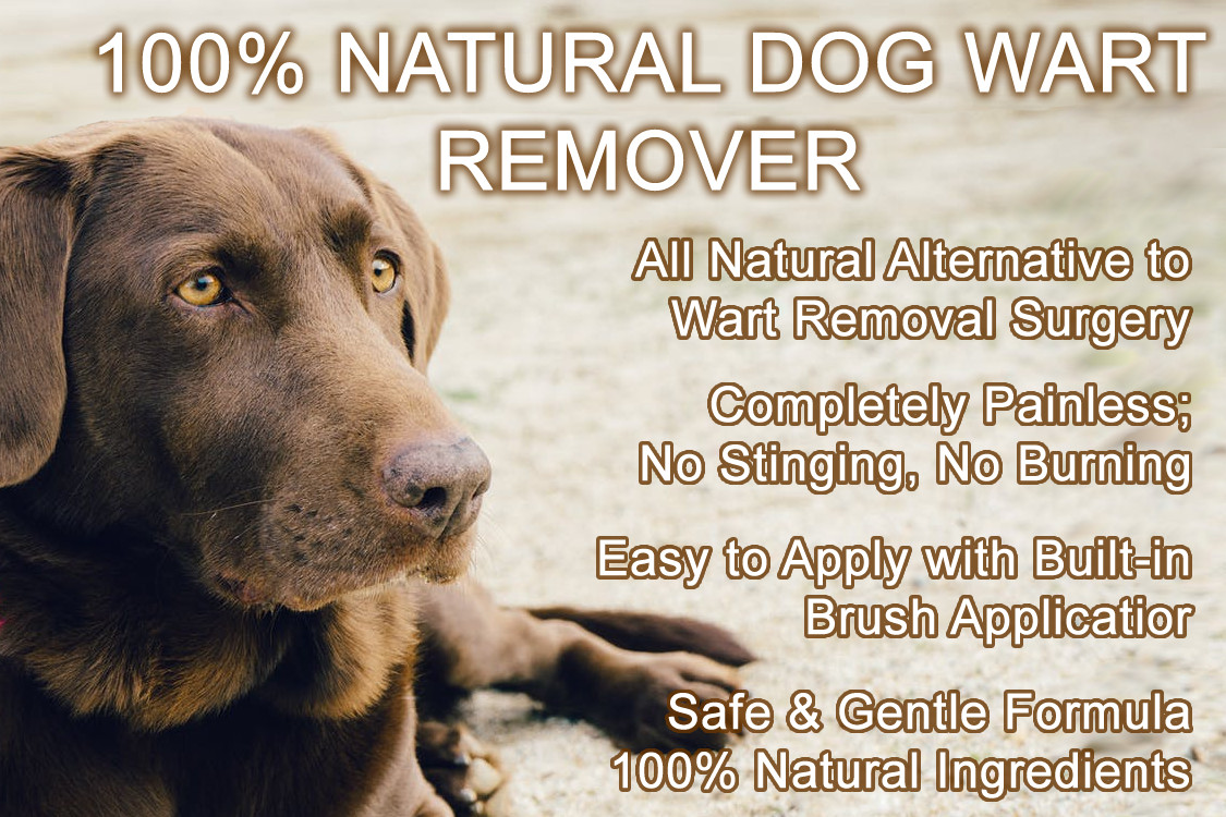 DOG WART REMOVER – ALL NATURAL PAINLESS DOG WARTS REMOVAL TREATMENT GOOD KARMA