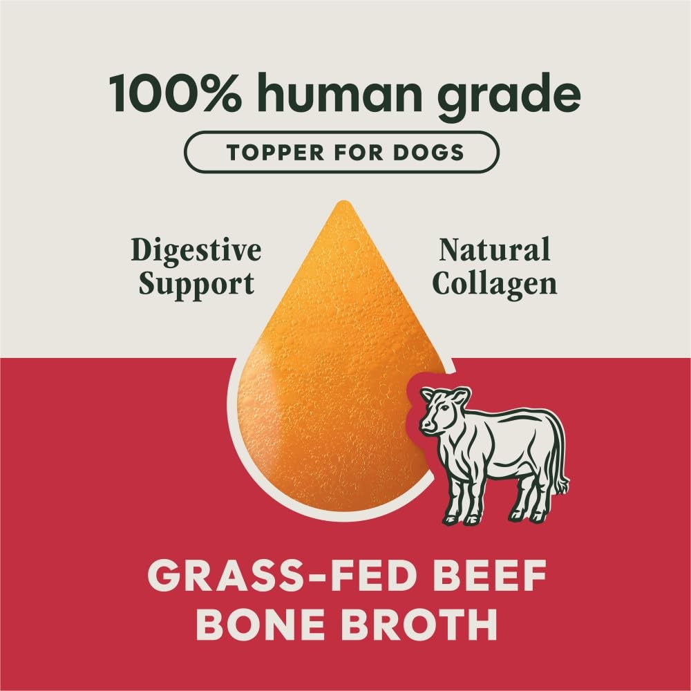 Instinct Bone Broth, Meal Topper for Dogs, Human 16 Fl Oz (Pack of 1), Silver