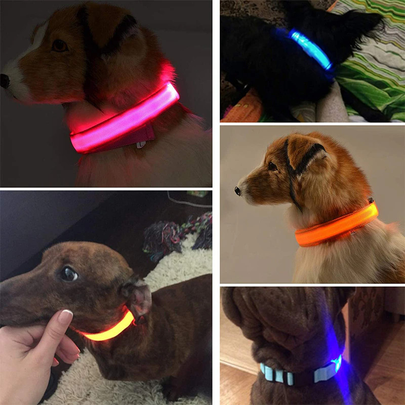 LED Adjustable Dog Collar Blinking Flashing Light Up Glow Pets Safety Waterproof