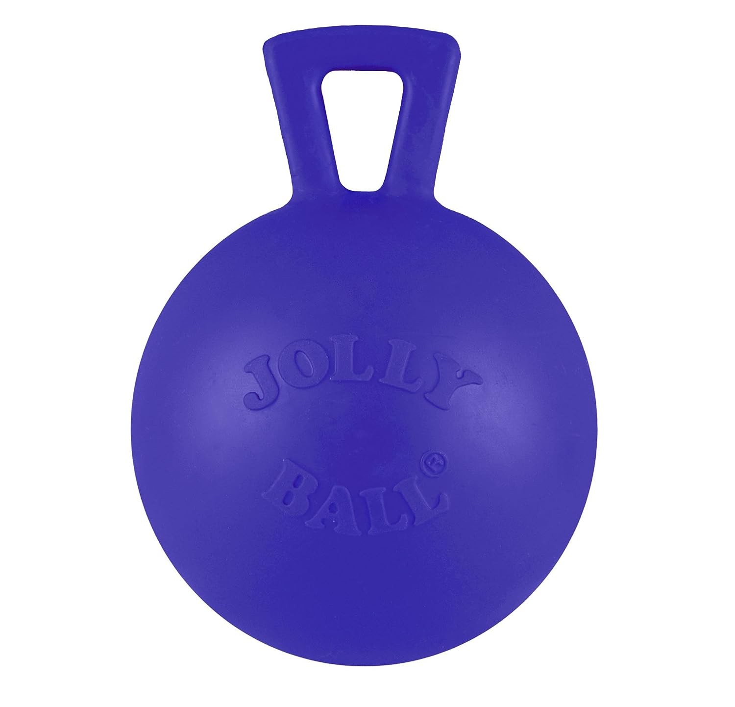 Jolly Pets Tug-N-Toss 10 inch Blue Rubber Ball with Handle Chew Toy for Dogs