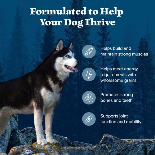 Blue Buffalo Wilderness High Protein Natural Adult Dry Dog Food