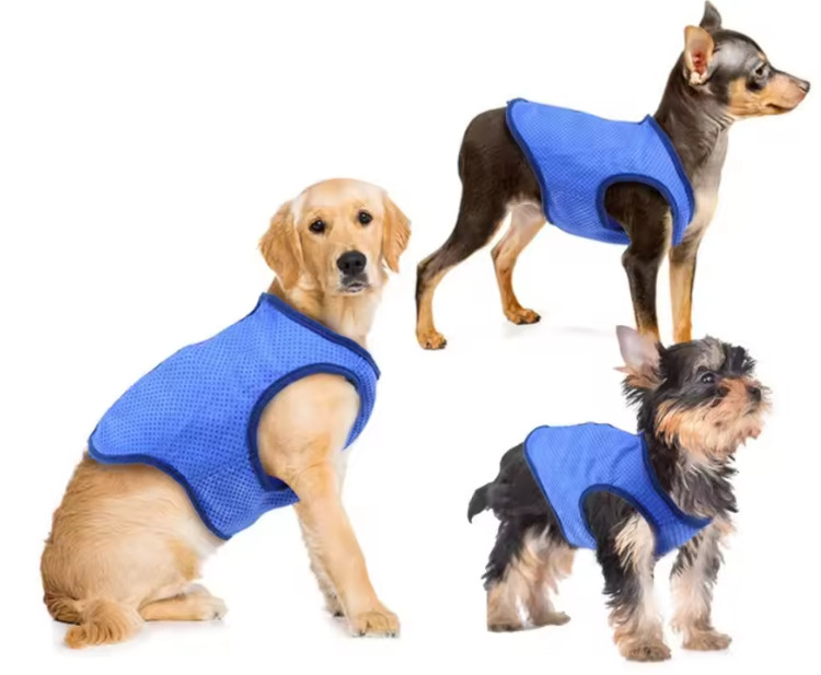 Dog Cooling Vest – Breathable Summer Heatstroke Prevention Pet Clothes