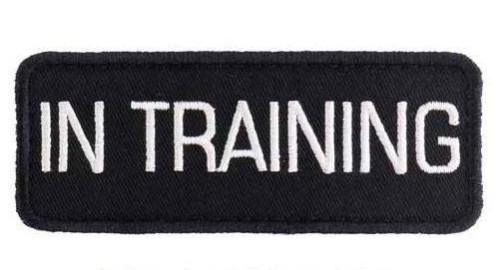 Service Dog Harness Vest Reflective – Patches – Waterproof ALL ACCESS CANINE™