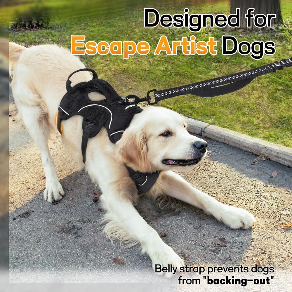 rabbitgoo Escape Proof Dog Harness with Lift Handle Reflective Adjustable Vest
