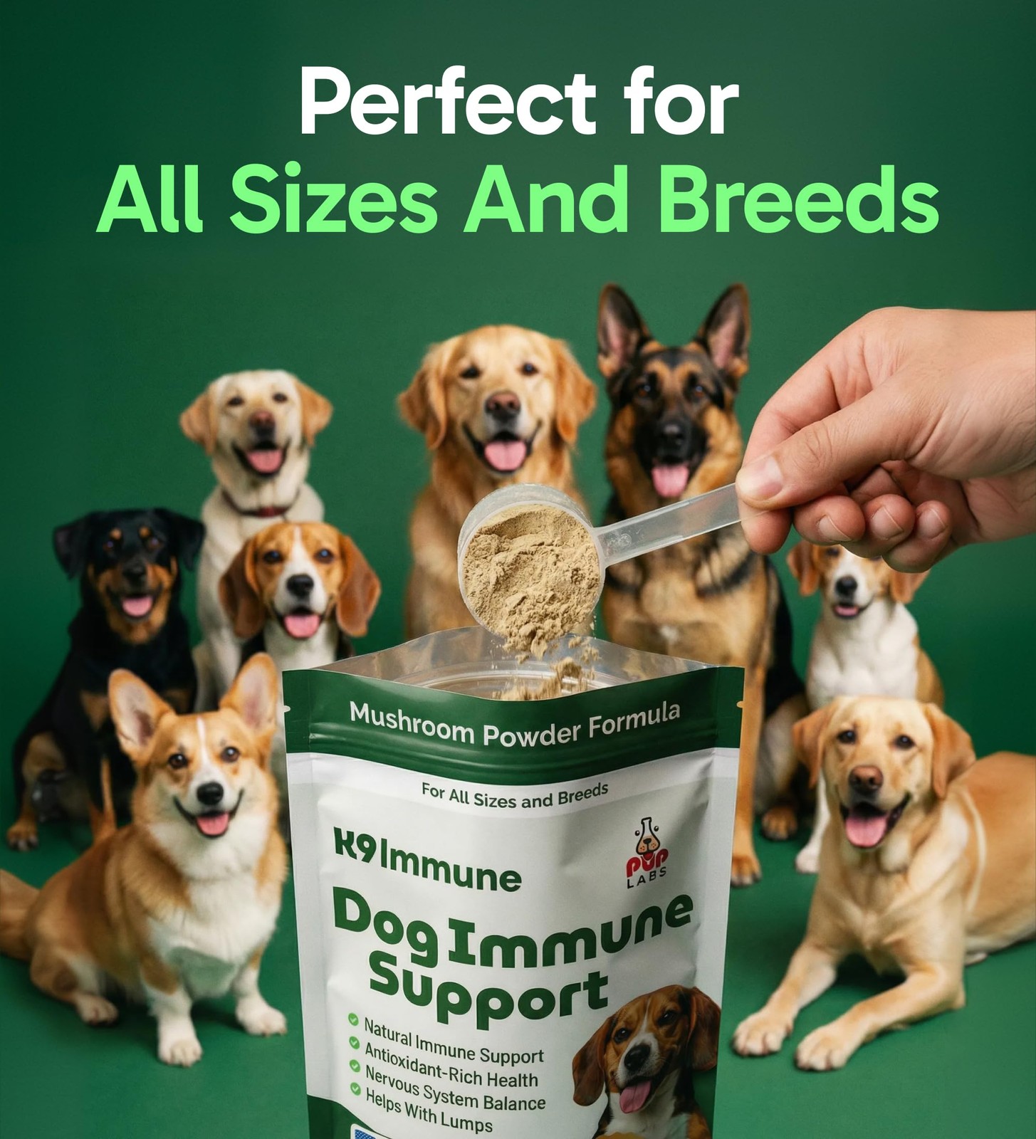 K9 Immune, All-Natural Mushroom Powder for Dogs for Immunity, Digestion, Join…