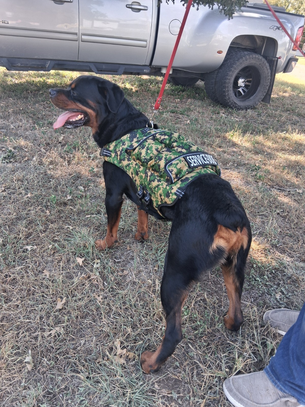 CWS Weighted Dog Vest + Flotation Vest-Medium 12 Pounds Sandbags Only No Sand!!