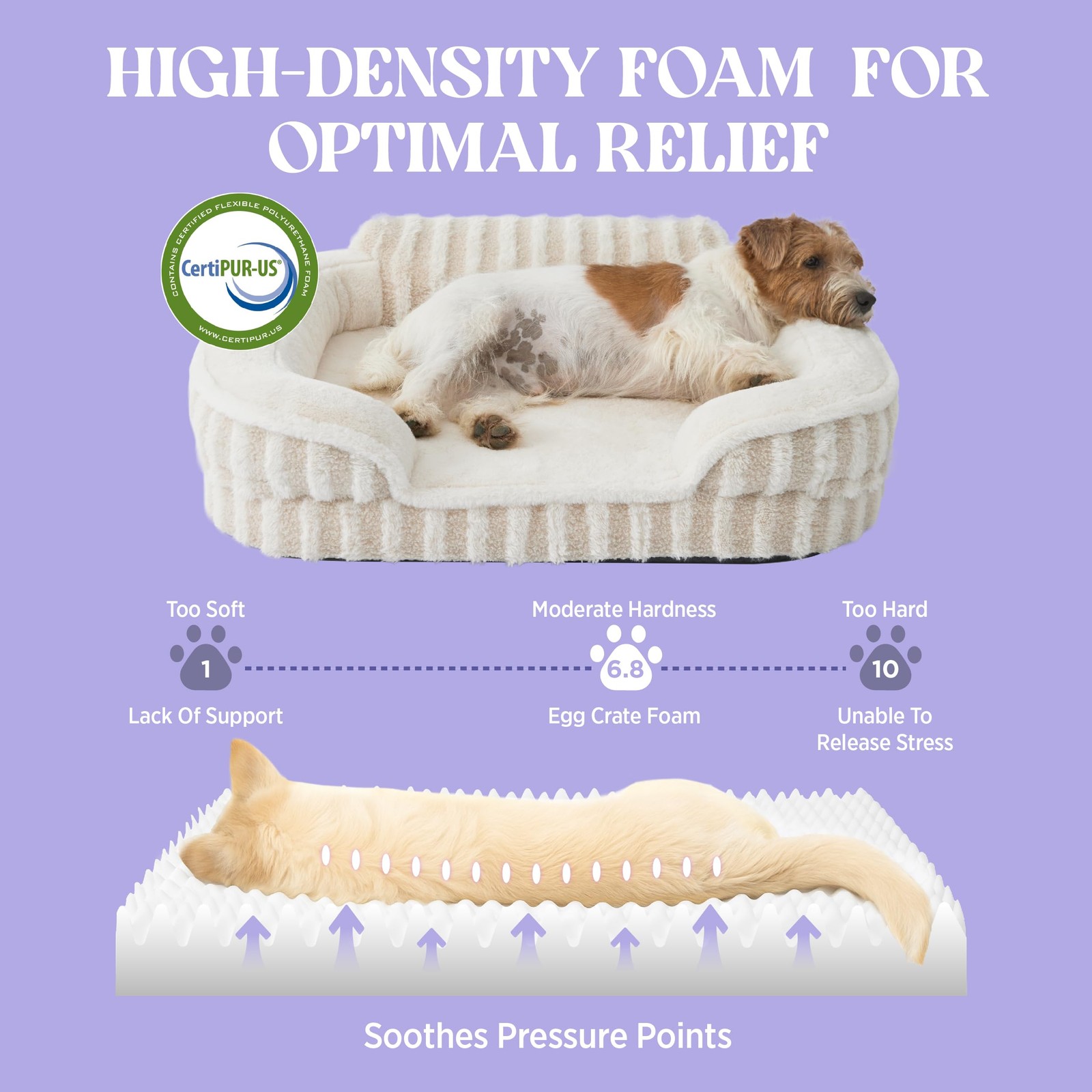 Orthopedic Medium Dog Bed Waterproof Washable Cover NonSlip High Back Beige