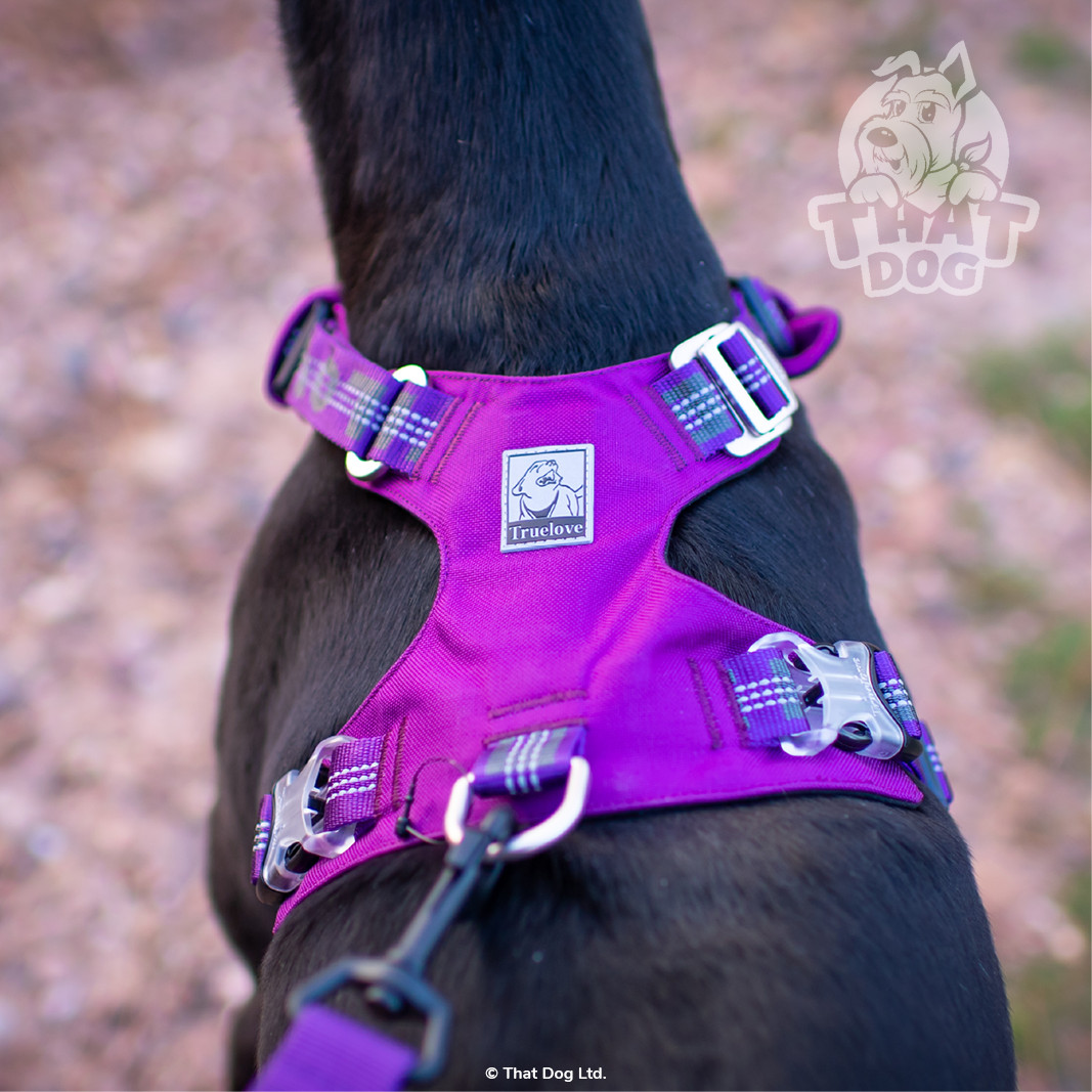 Dog Harness Truelove CORDURA Premium Lightweight Reflective XXS XS S M L XL